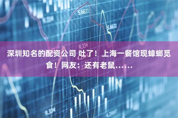 深圳知名的配资公司 吐了！上海一餐馆现蟑螂觅食！网友：还有老鼠……